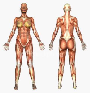 Бие махбодь тусламж хүсч буй 15 чухал дохио